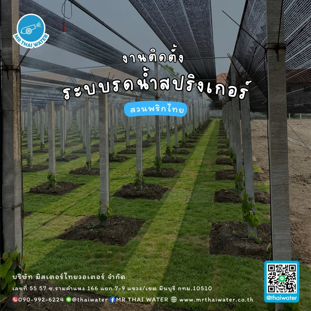 11_ระบบรดน้ำสปริงเกอร์ สวนพริกไทย