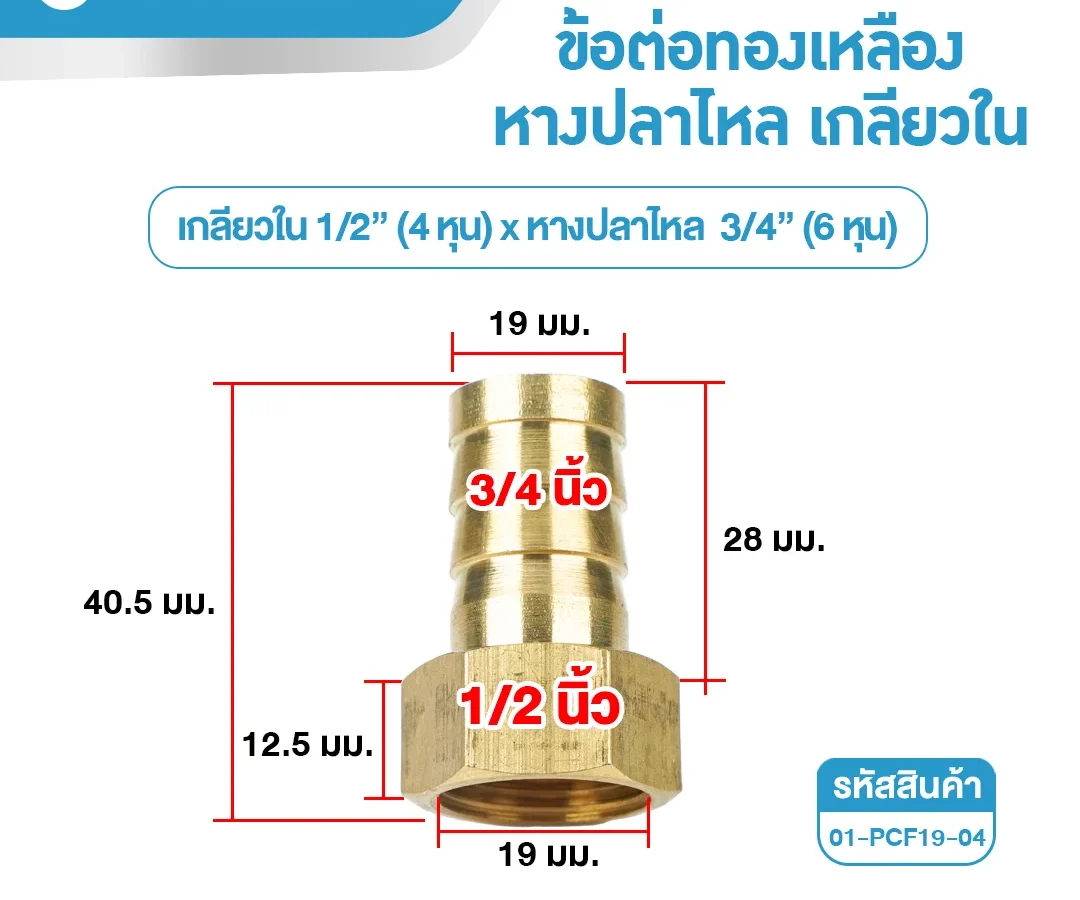 ข้อต่อทองเหลืองเกลียวใน-เสียบสายหางปลาไหล 1/2 นิ้ว x 3/4 นิ้ว